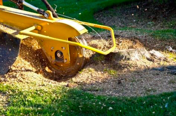 Stump Grinding: Image of a Tree Work Now stump grinder removing a tree stump