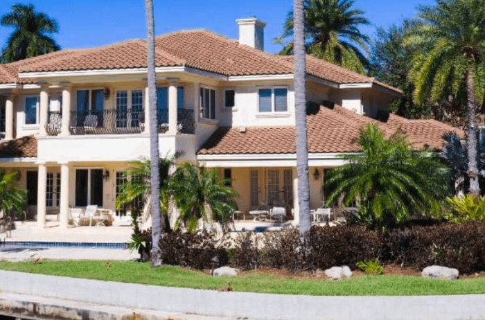 Tree Inspections: Central Florida home surrounded by palm trees