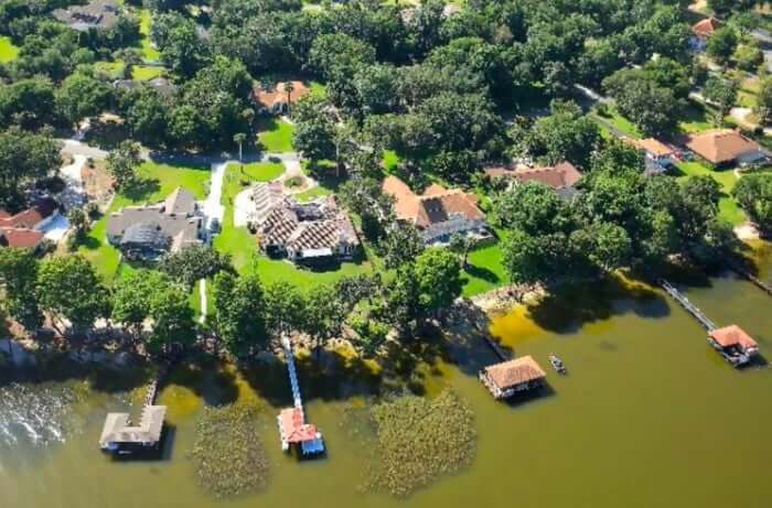 Tree trimming in Mount Dora, Florida
