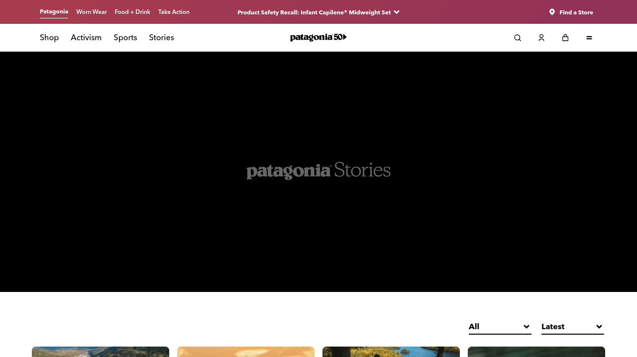 Business blog examples: patagonia