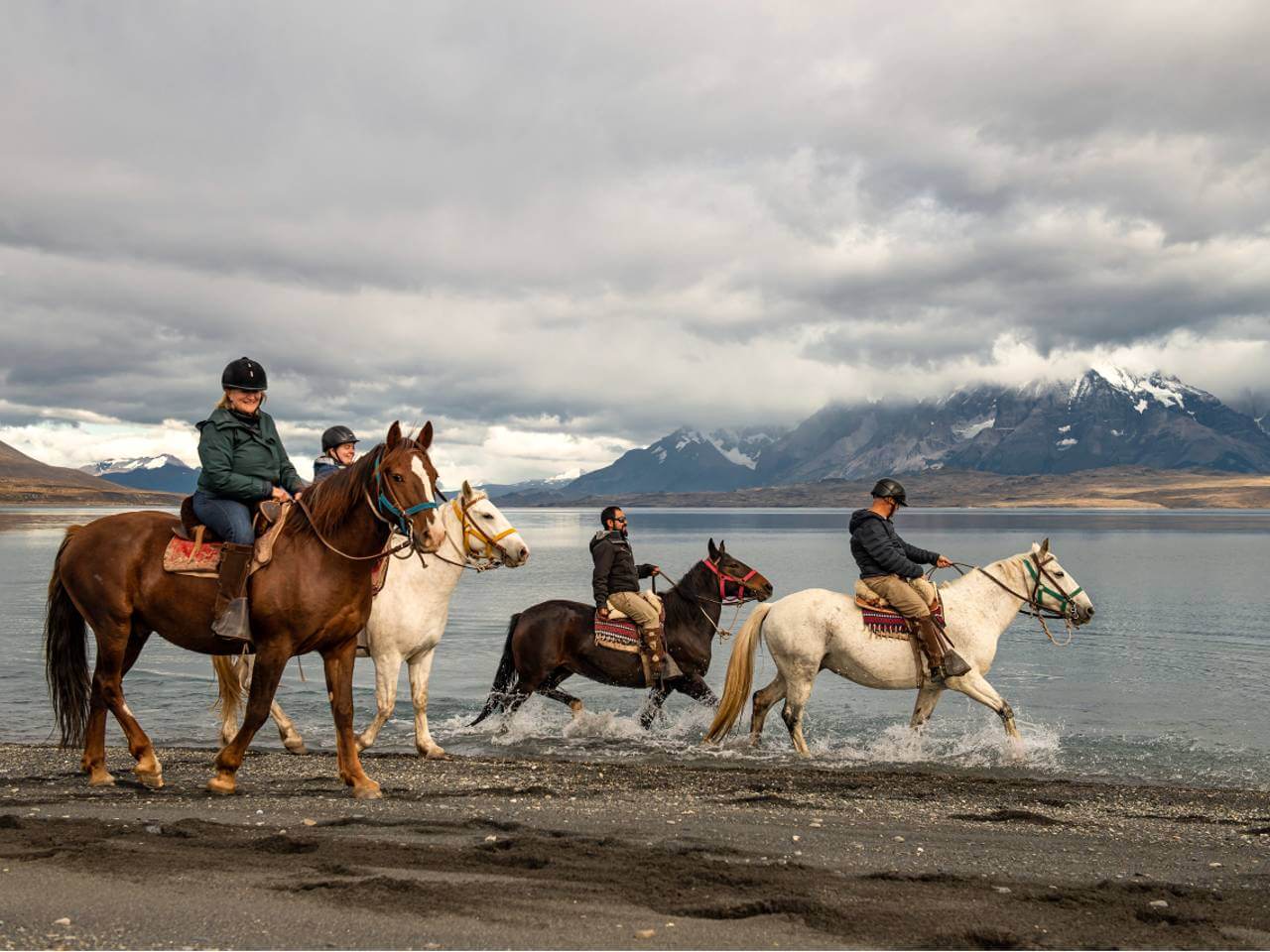 tierra patagonia horses