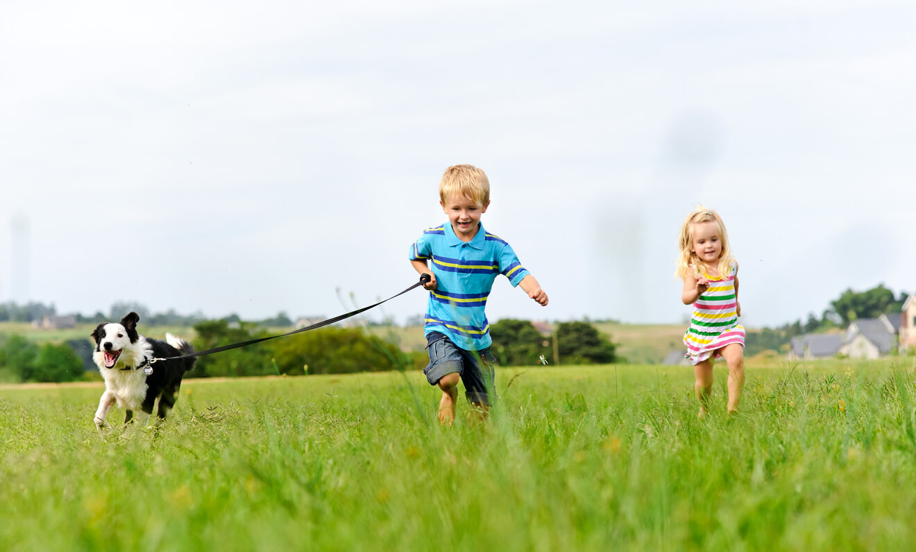 dog being walked by young boy and young girl in a field 