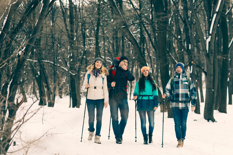 four friends walking in the snowy woodland during a winter caravan holiday