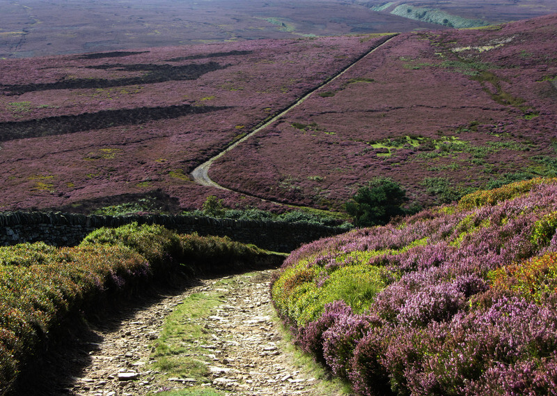 yorkshire moors - what is Yorkshire famous for