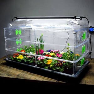 sowing in a vitopod propagator with lights