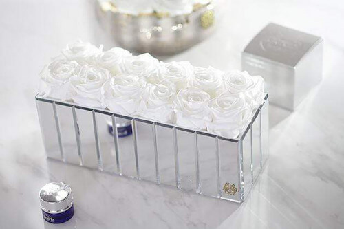 White Rose Color Meaning