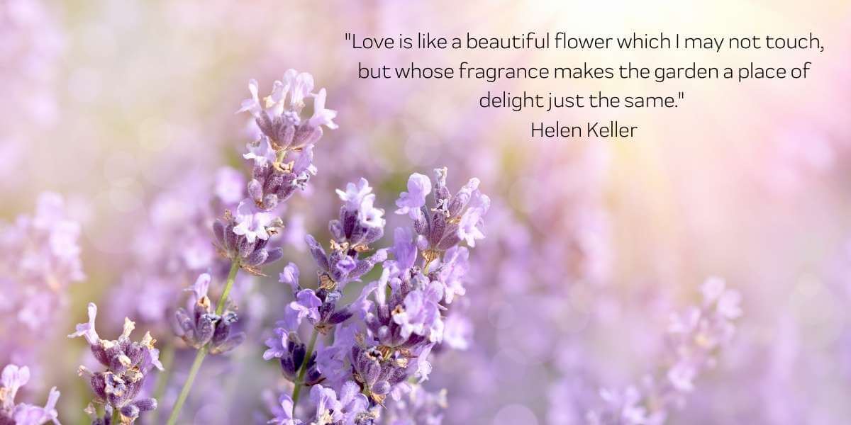 Love and Flower Quotes | South African Florist Fabulous Flowers