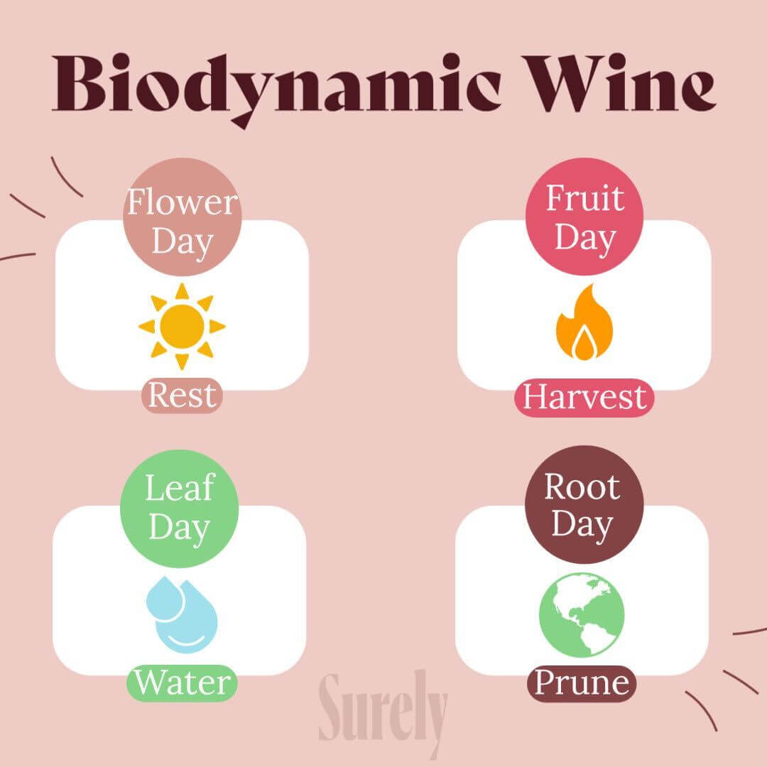 Biodynamic wine Thun calendar 