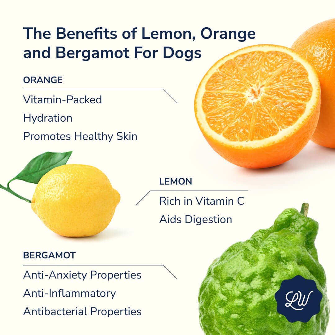 Benefits of Lemon, Orange and Bergamot for dogs