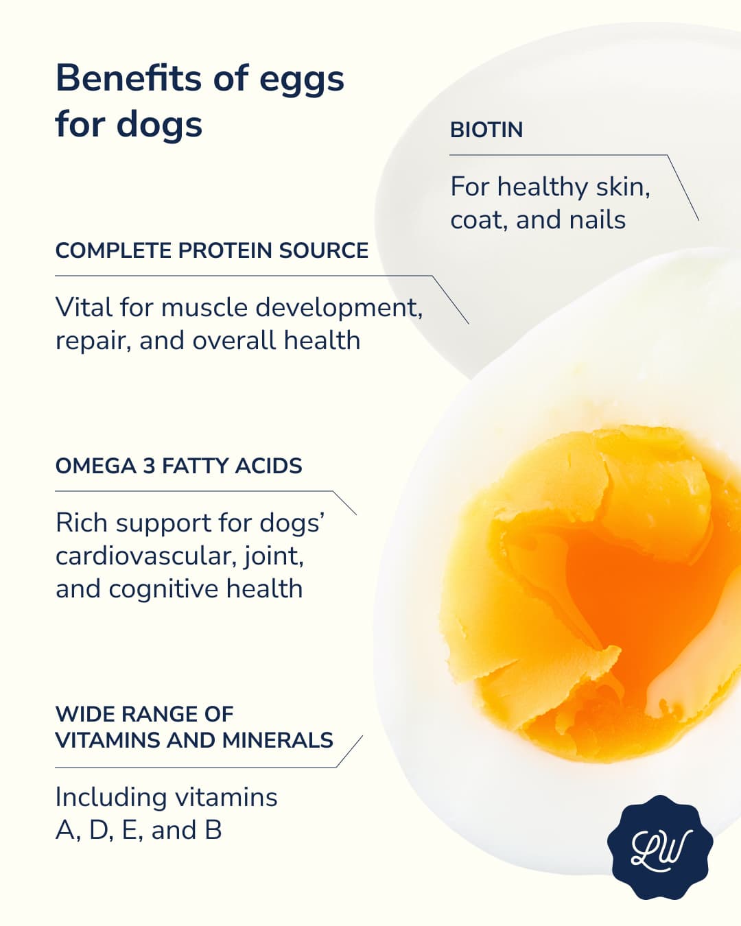 Benefits of Eggs for dogs