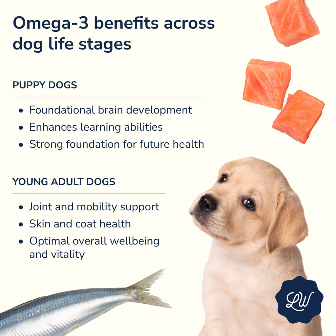 Omega 3 for dogs - Puppies and young adults