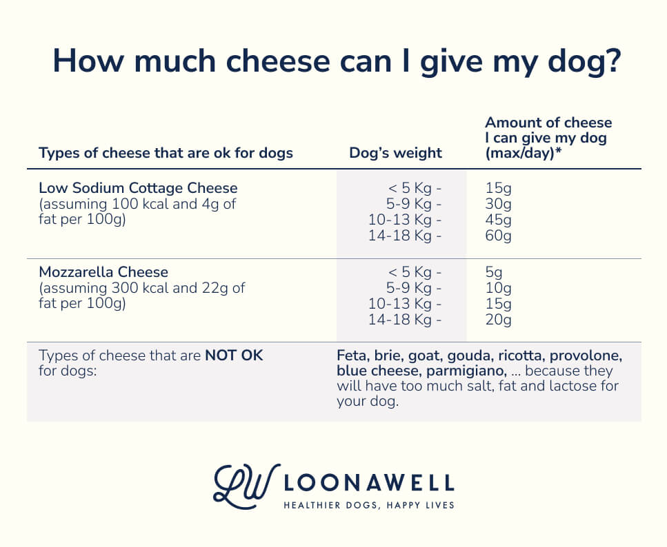 Can my dog eat cheese?