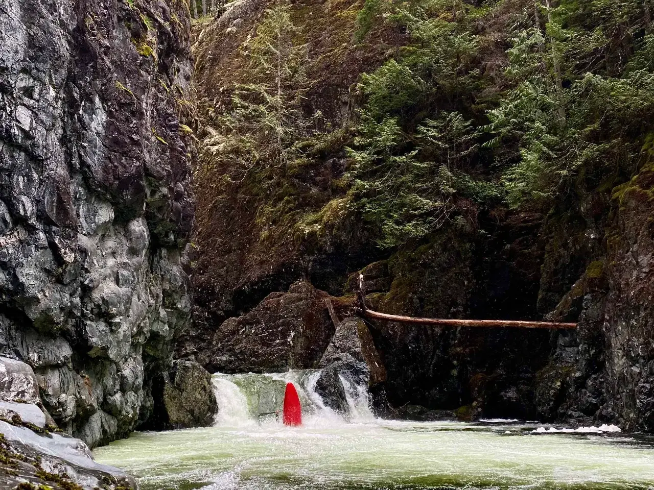 heber river kayaking vancouver island