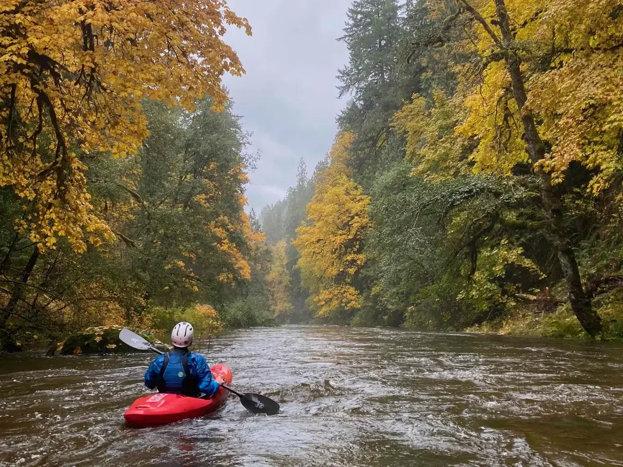 koksilah river kayaking vancouver island