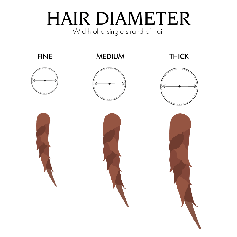 Human hair diameter