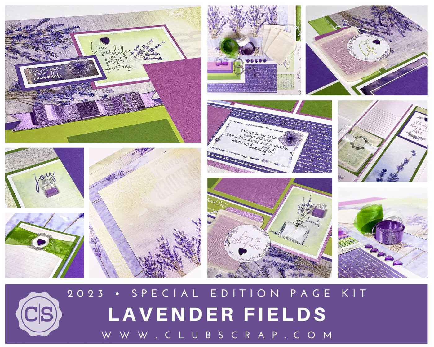Lavender Fields Spoiler 