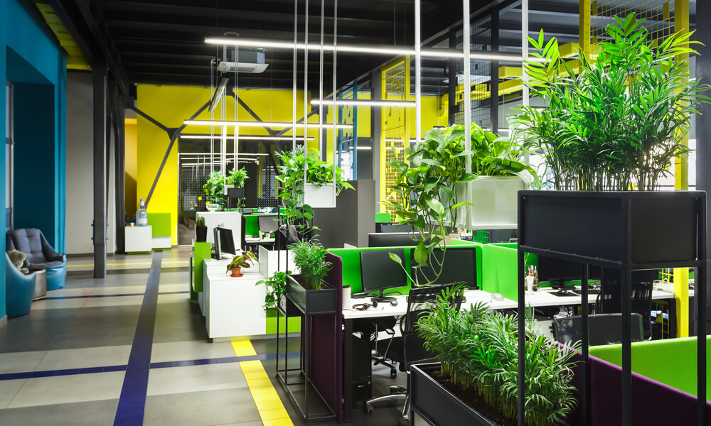 Buy Plants Online Productive Plants - The Many Benefits of Office Botanicals Blog Image