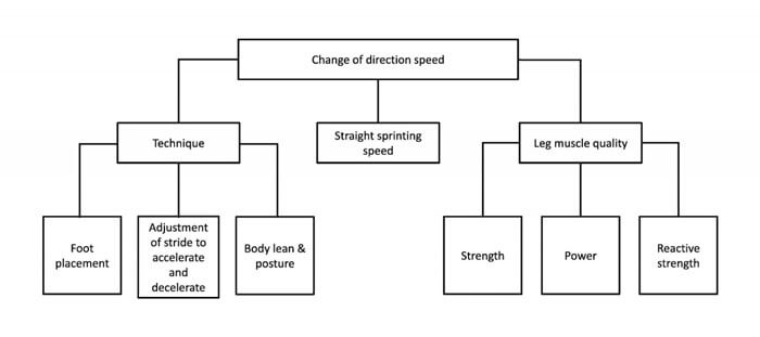 A flow chart illustrating the benefits of Deceleration training with proper technique and leg muscle use.