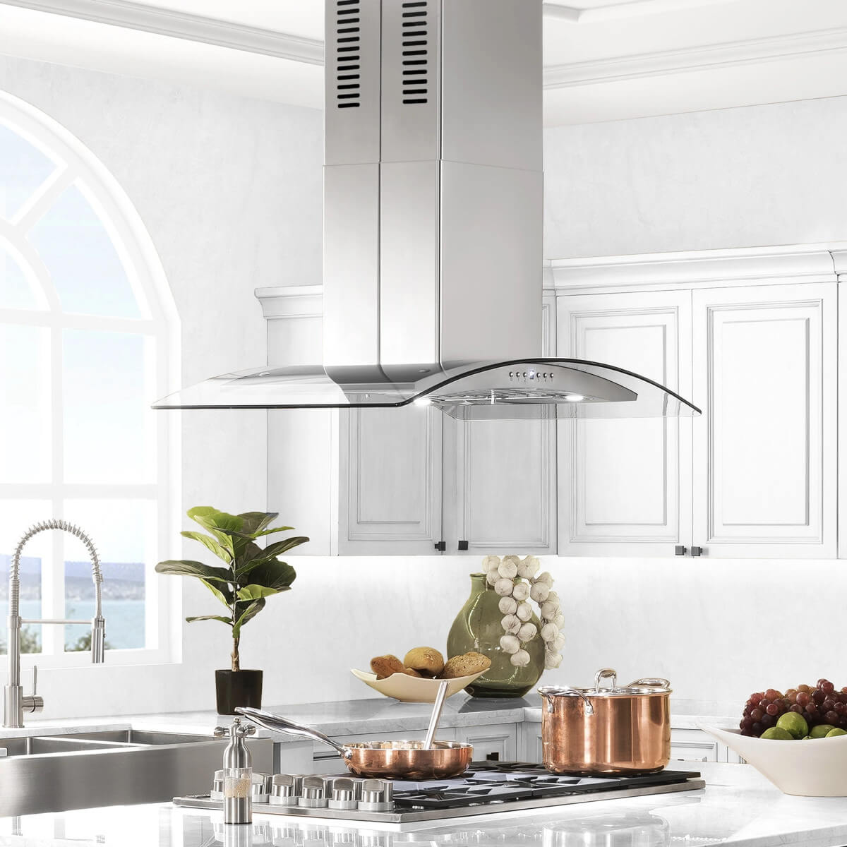 Glass and Stainless Steel Hood