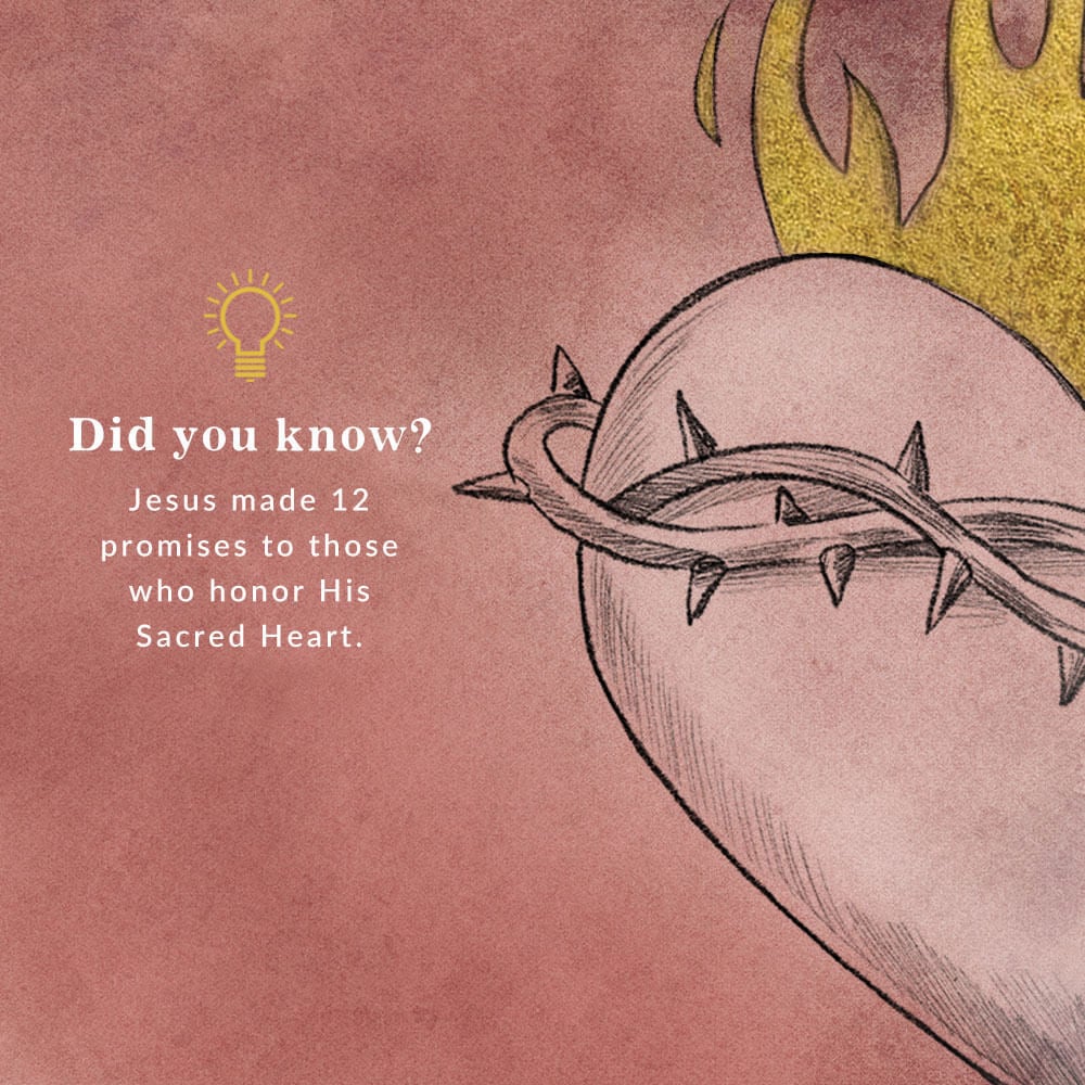 Sacred Heart of Jesus Fun Fact