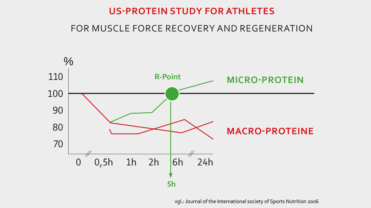 Bioalter-Sport-Protein-Studie