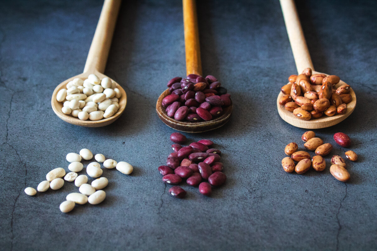 bean varieties on wooden spoons