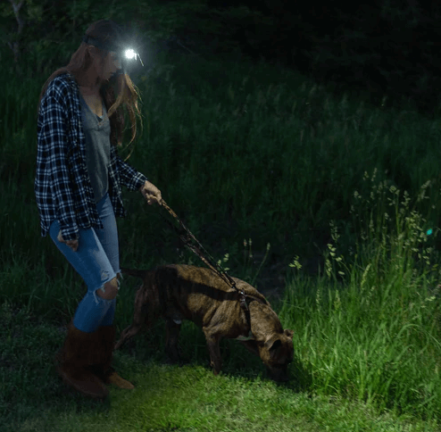 dog walking headlight