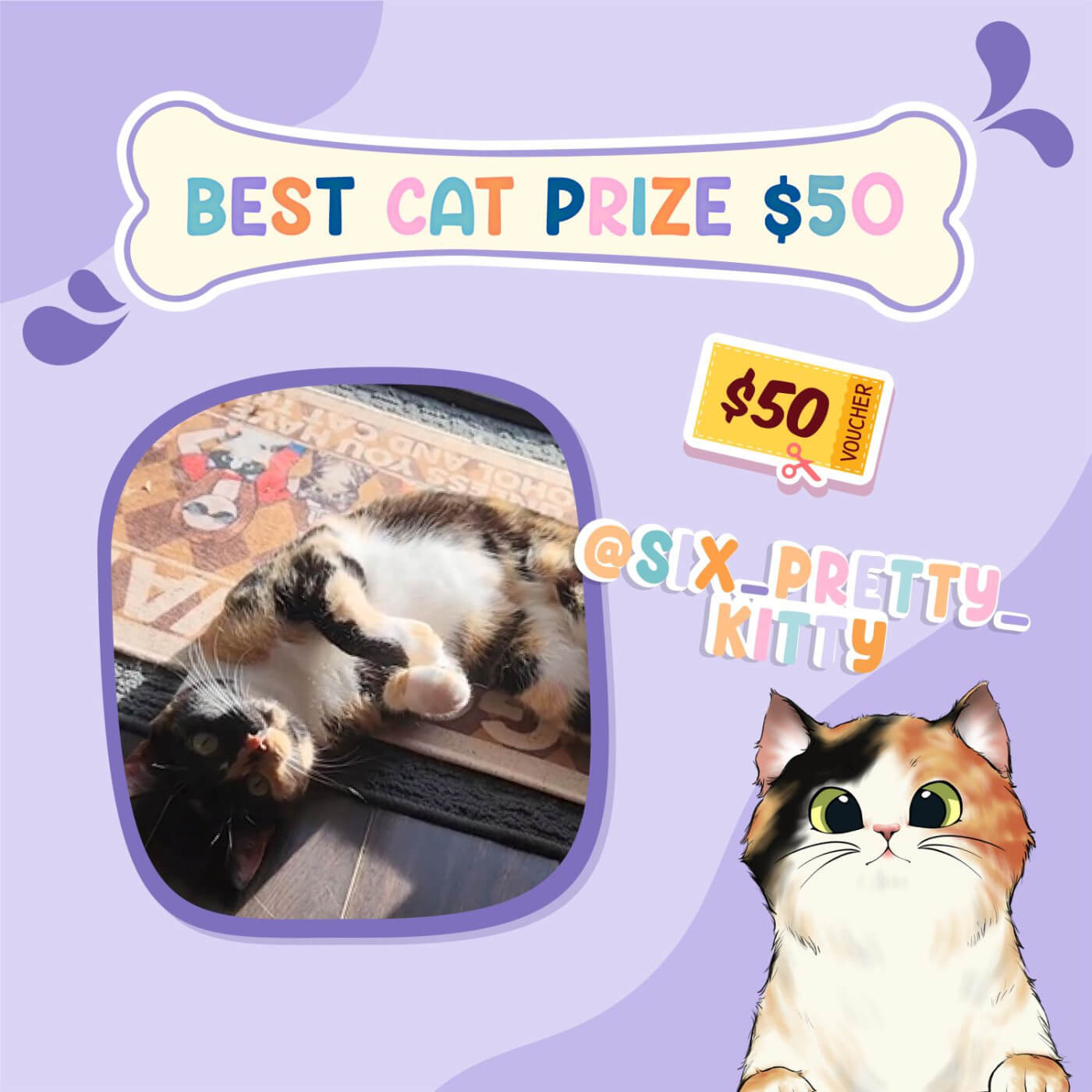 Best Cat Prize Pet Contest