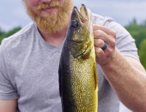 Beard growth kits - fishing