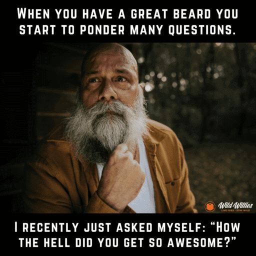 Beard Growth Stages Questions