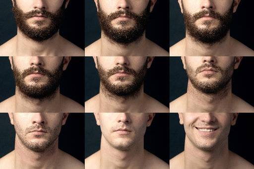 Monitoring Beard Growth Stages | Wild Willies