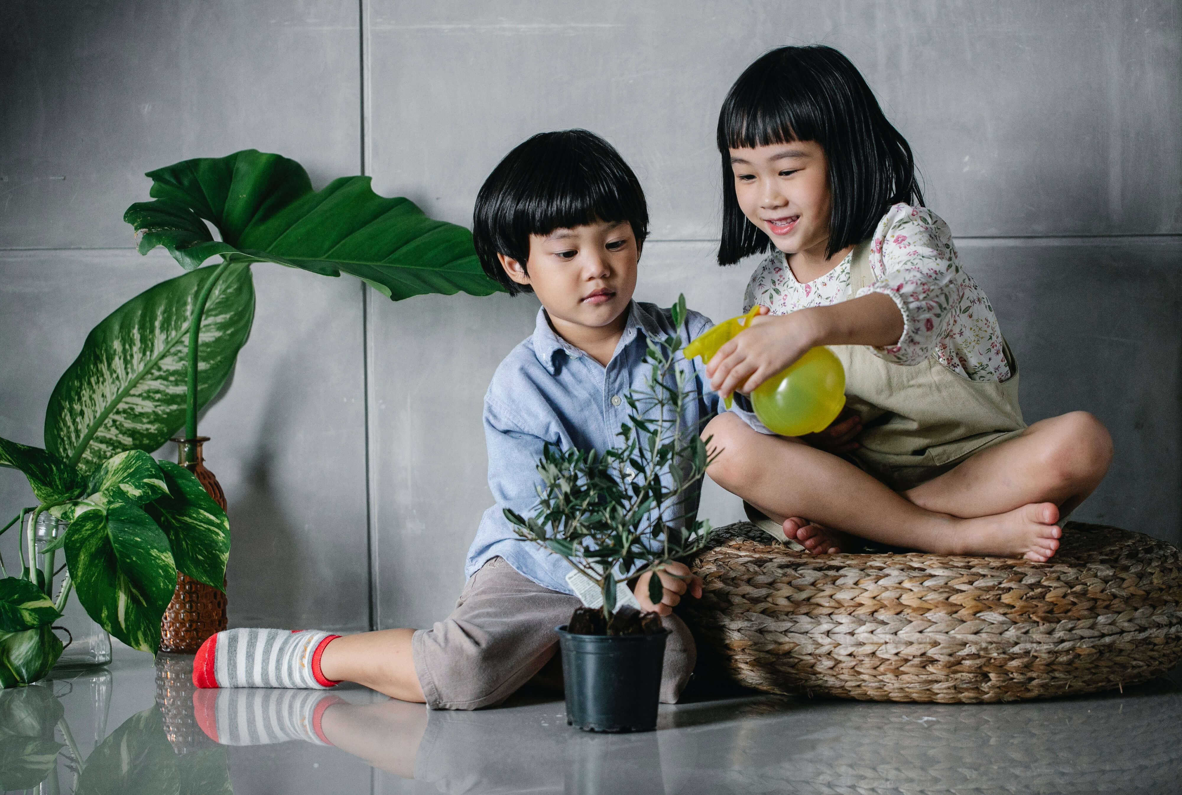 Asian kids growing a plant