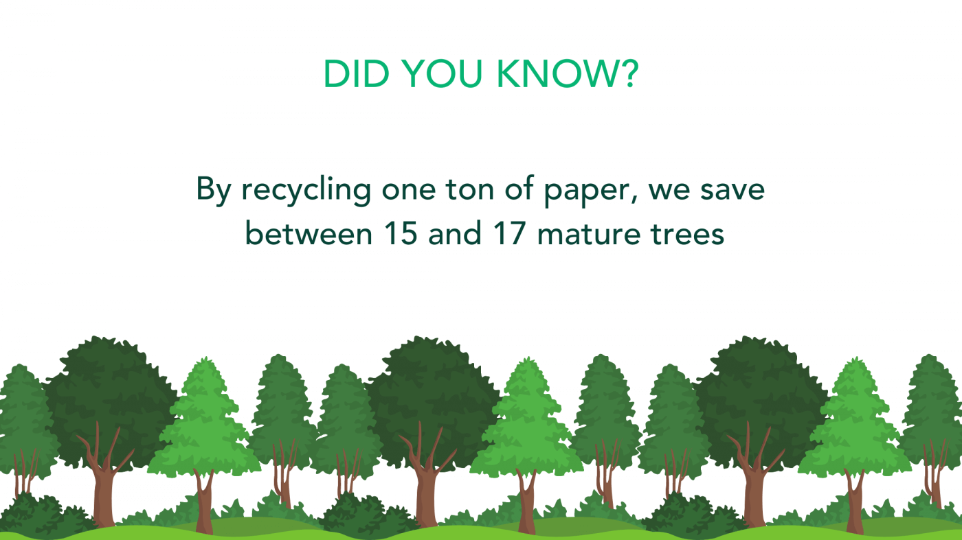 By recycling one ton of paper we save between 15 and 17 mature trees