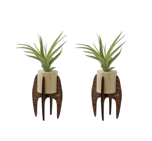 Sustainable Gifts. Mini Desk Air Plants, available on Loop and Tie