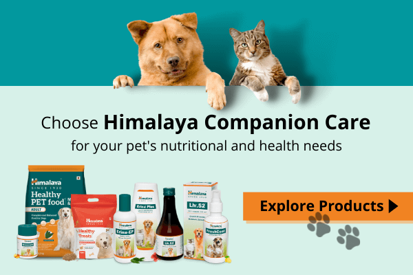 Himalaya Companion Care Products