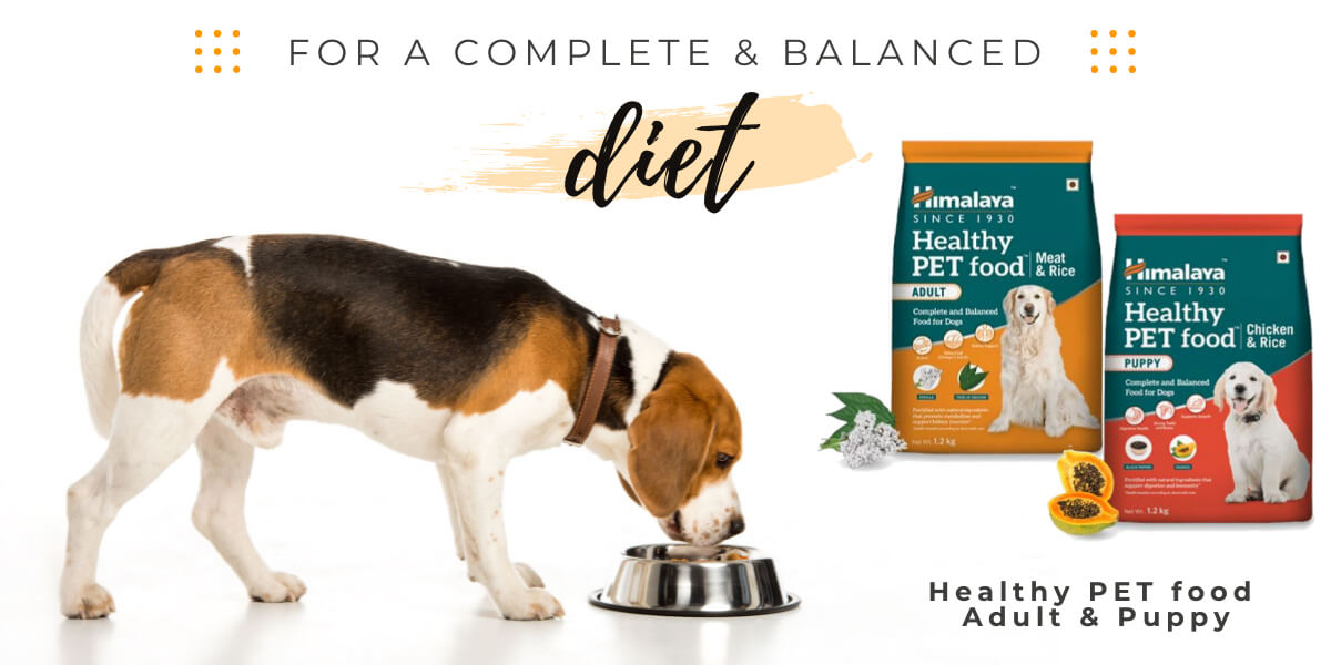 Himalaya PET Food Adult & Puppy - Complete and Balanced Dog Diet