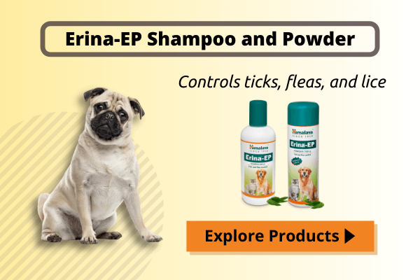 Erina-EP Shampoo and Powder