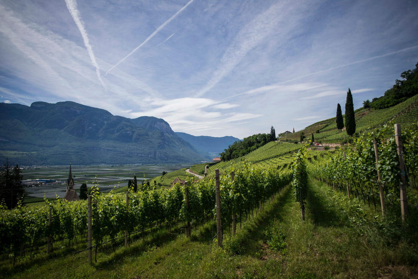 Best Wine the World | Discover the Top Wine Regions in the
