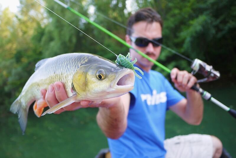 The Color of Lures: What is the Best Color for Fishing Lures?