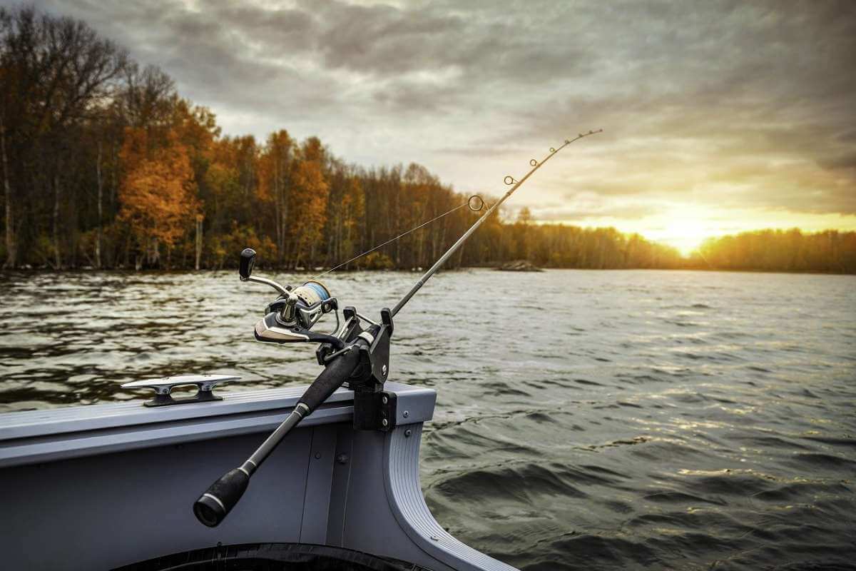 Types of Fishing Rods and Fishing Pole Buying Guide