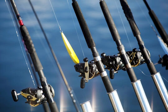 Ultimate Guide of Fishing Reels Types: Understanding Pros And Cons