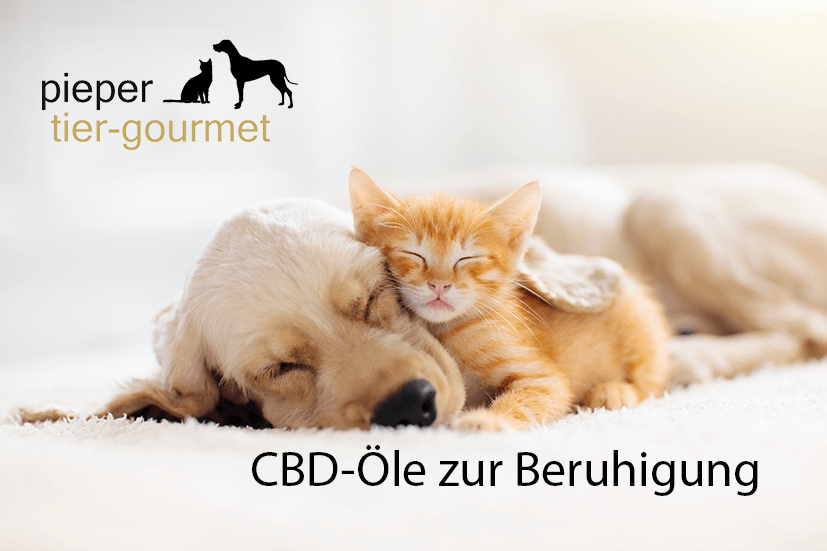 CBD Hund und Katze tiergourmet Beruhigung Entspannung