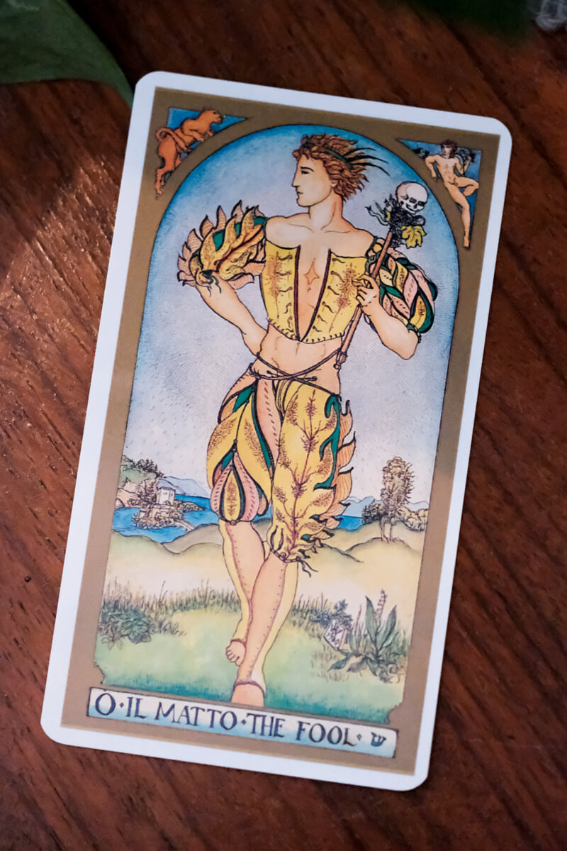 The Fool Card Renaissance Tarot