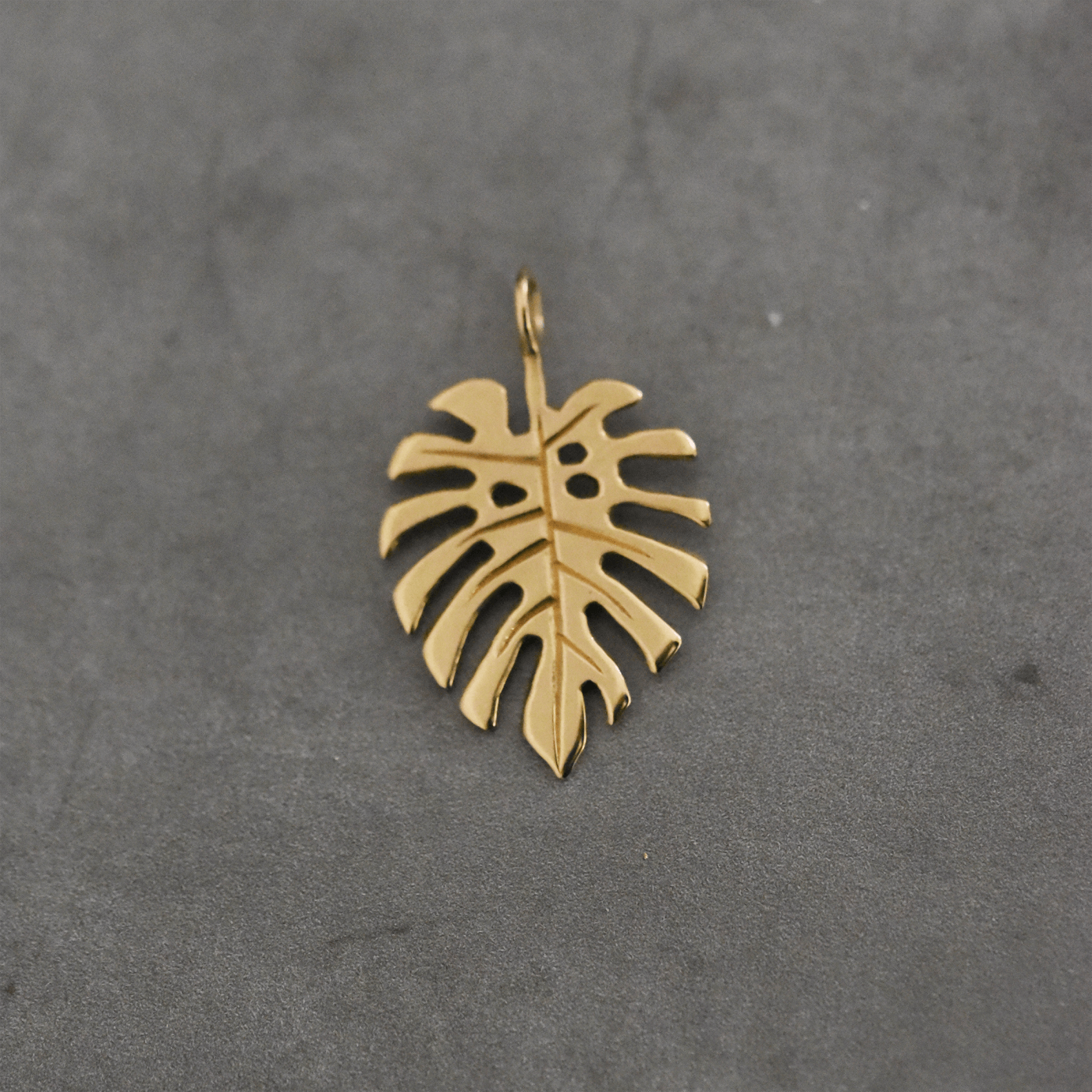 Gold Monstera Charm by Corkie Bolton Jewelry photgraphed on Replica Surfaces.