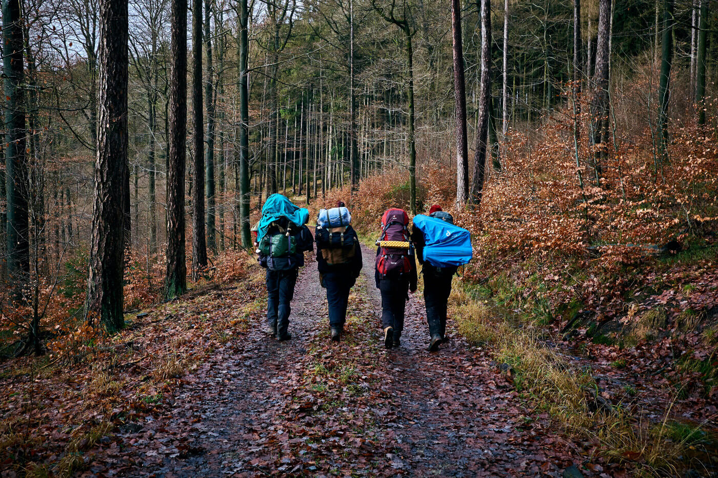 A group of friends backpacking in fall.