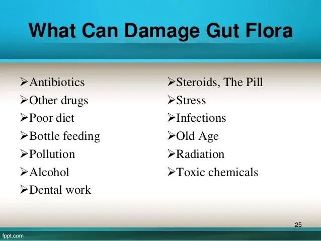 antibiotics and gut flora