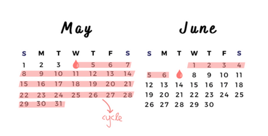 Calender showing period dates