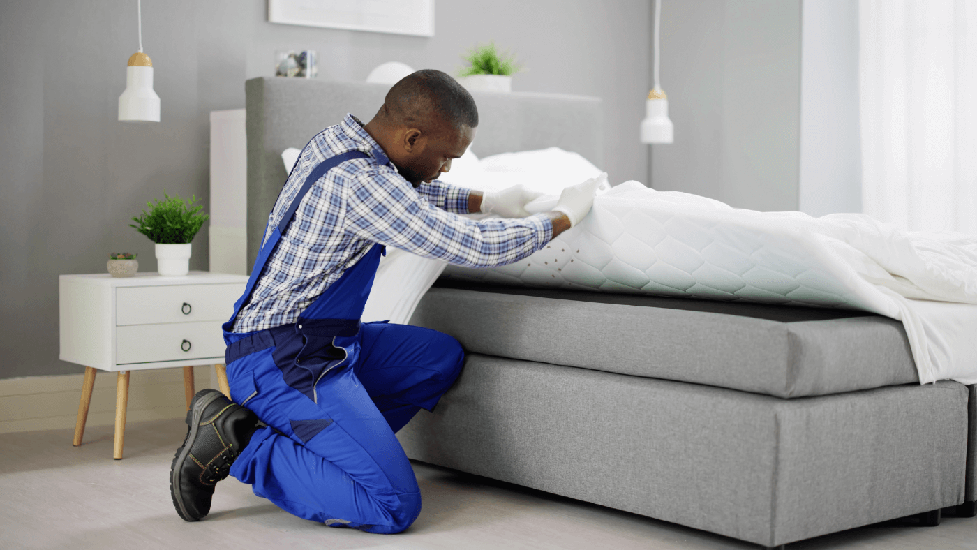 man inspecting mattress for bed bugs