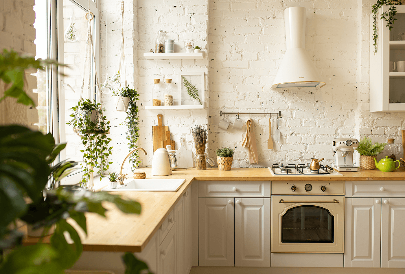 cool kitchen with plants 
