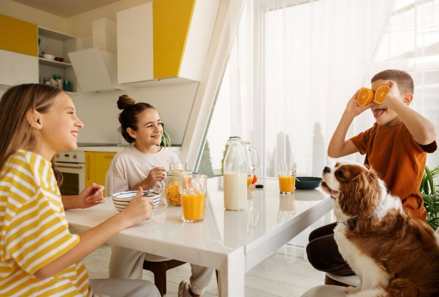 Pet and Kid Friendly Kitchens: